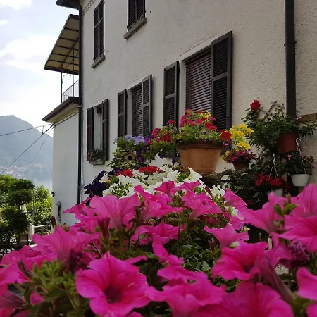Flora Apartment Moltrasio Exterior photo