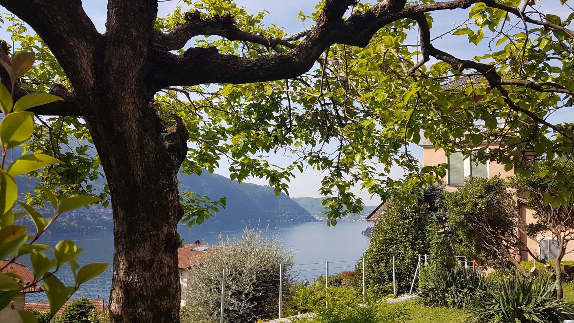 Flora Apartment Moltrasio